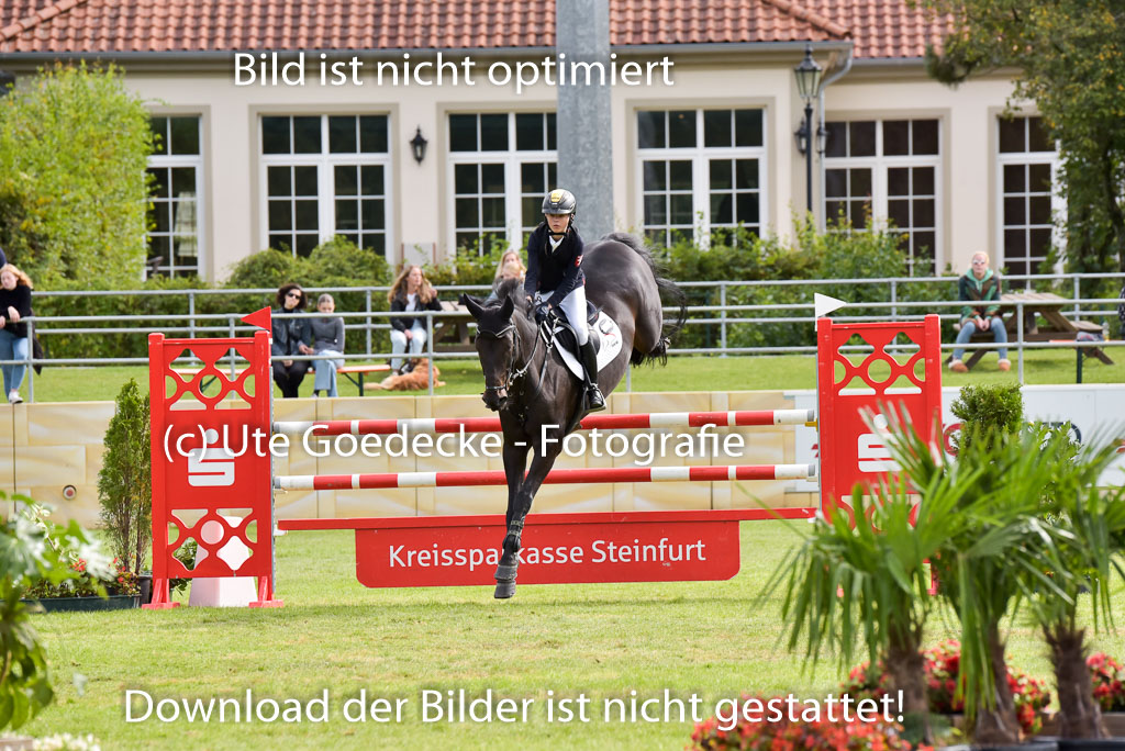  | Gripshöver, Lutz jun - Castellino 9-24_01 