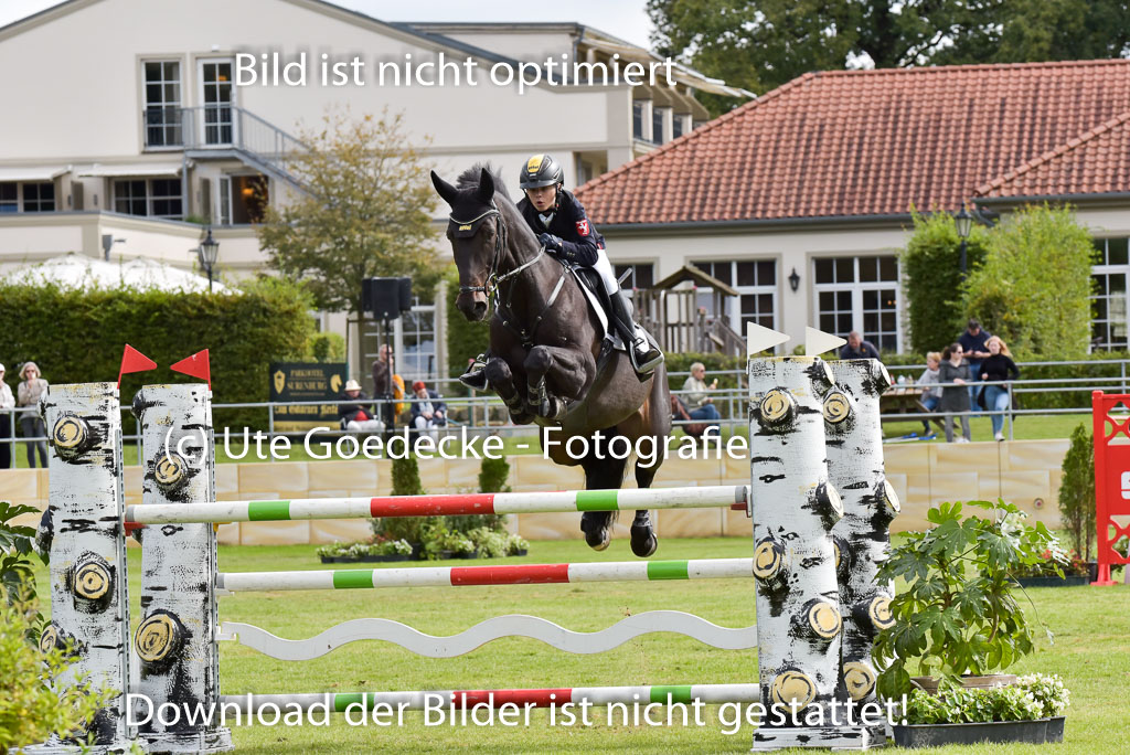  | Gripshöver, Lutz jun - Castellino 9-24_03 