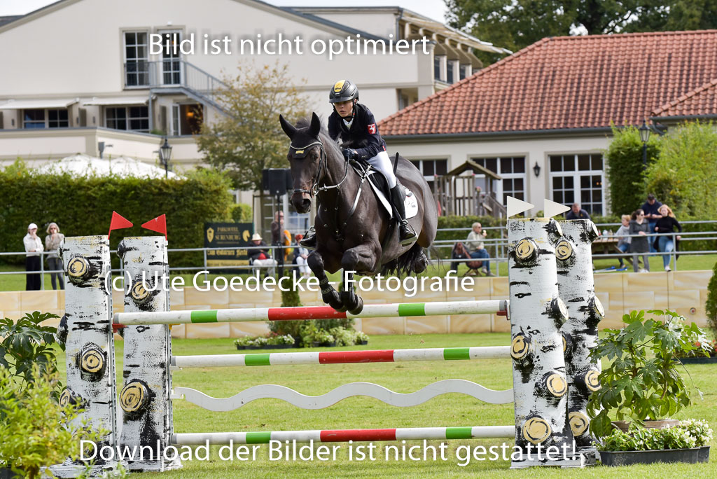  | Gripshöver, Lutz jun - Castellino 9-24_04 
