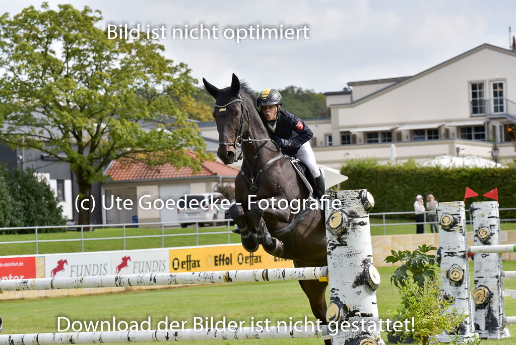  | Gripshöver, Lutz jun - Castellino 9-24_06 