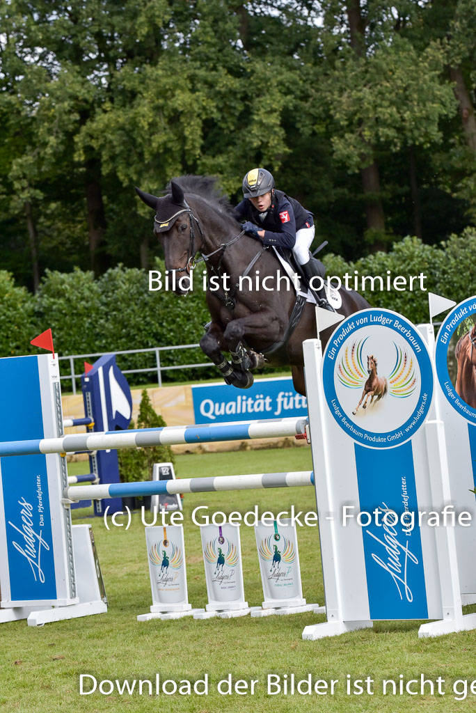  | Gripshöver, Lutz jun - Castellino 9-24_09 