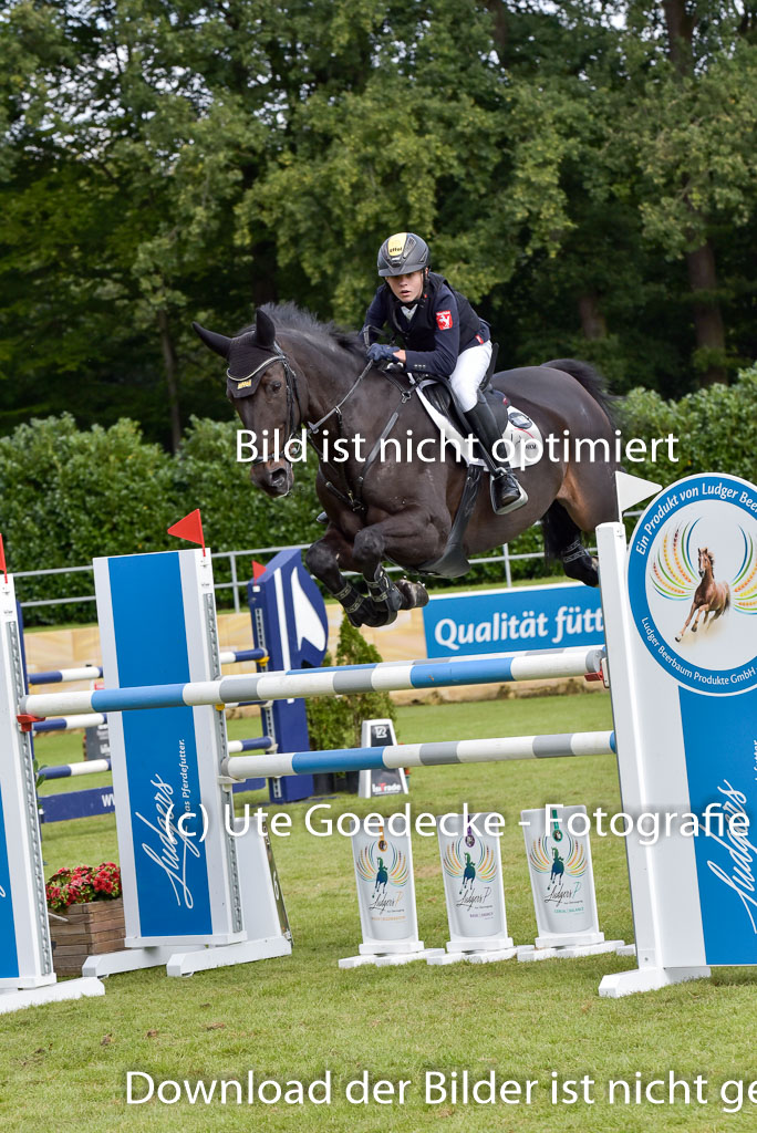  | Gripshöver, Lutz jun - Castellino 9-24_10 