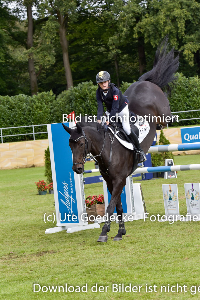  | Gripshöver, Lutz jun - Castellino 9-24_11 