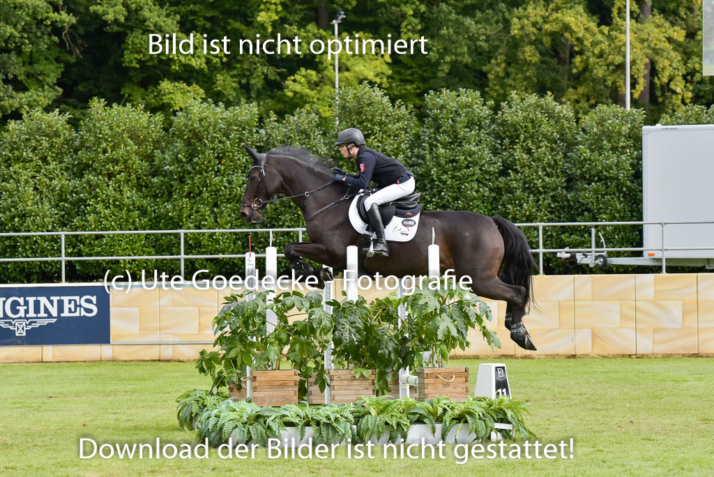  | Gripshöver, Lutz jun - Castellino 9-24_16 