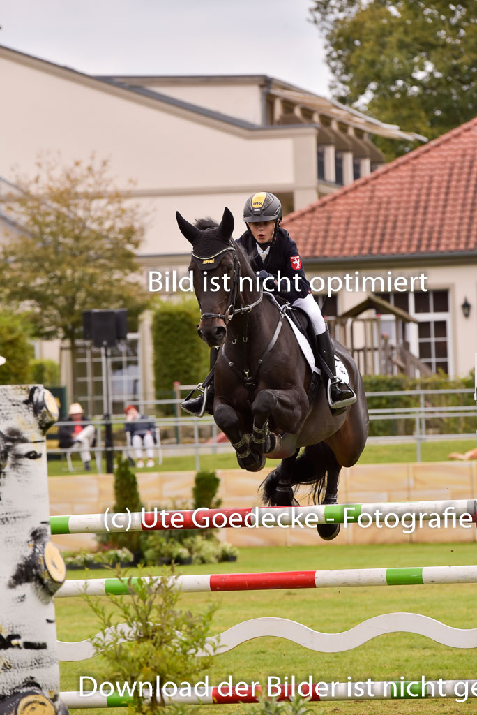  | Gripshöver, Lutz jun - Castellino 9-24_18 