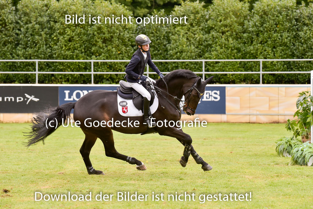  | Gripshöver, Lutz jun - Castellino 9-24_19 