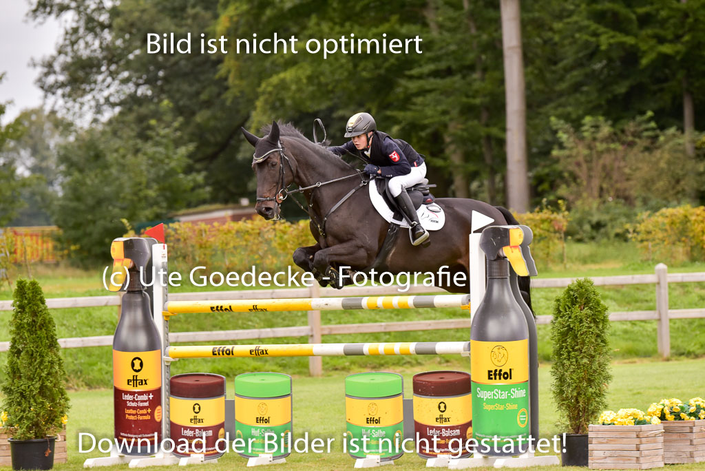  | Gripshöver, Lutz jun - Castellino 9-24_22 