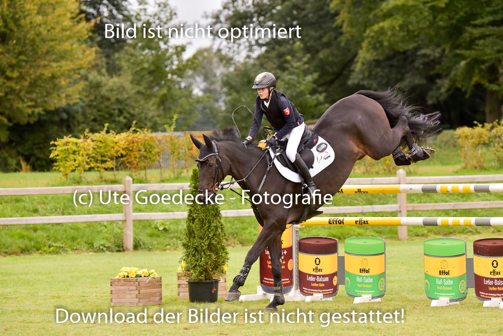  | Gripshöver, Lutz jun - Castellino 9-24_23 
