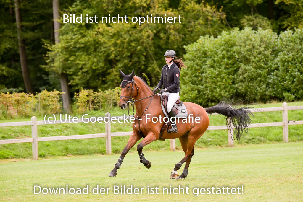  | Gruber, sarah - Lord onassis 9-24_17 