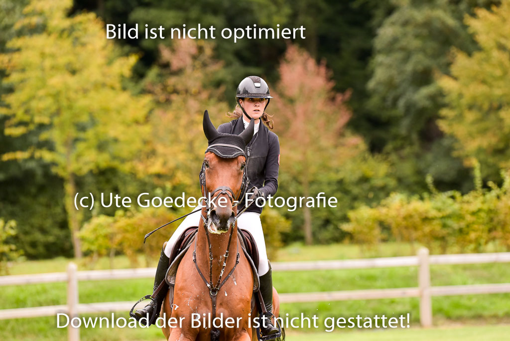  | Gruber, sarah - Lord onassis 9-24_19 