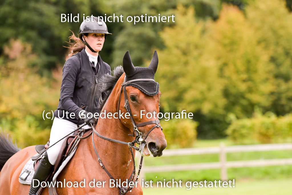  | Gruber, sarah - Lord onassis 9-24_20 