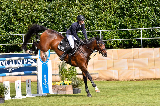  | Baum, Moritz - All in - 09-2024_01 