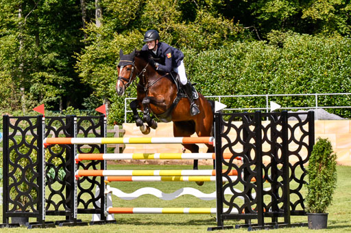  | Baum, Moritz - All in - 09-2024_06 