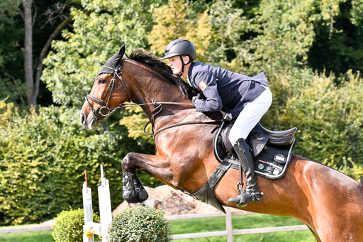  | Baum, Moritz - All in - 09-2024_12 