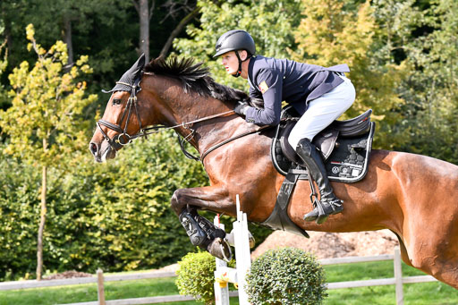  | Baum, Moritz - All in - 09-2024_13 