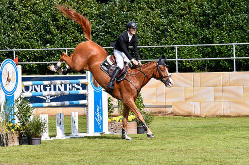  | Broich, Liam - Cadou 9-24 _01 