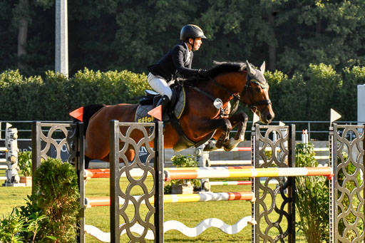  | Fallenberg, Joost Big Star 9-24_01 