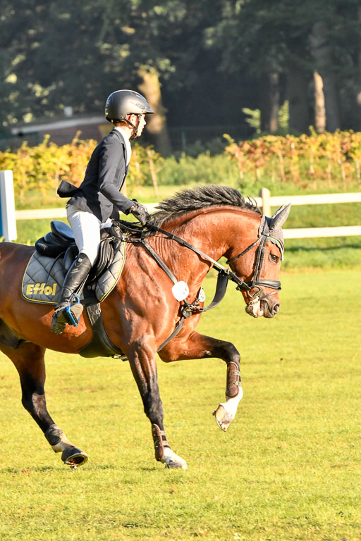  | Fallenberg, Joost Big Star 9-24_07 