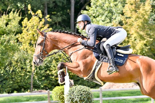  | Golle, Julien - Santa Sophia 9-24_10 