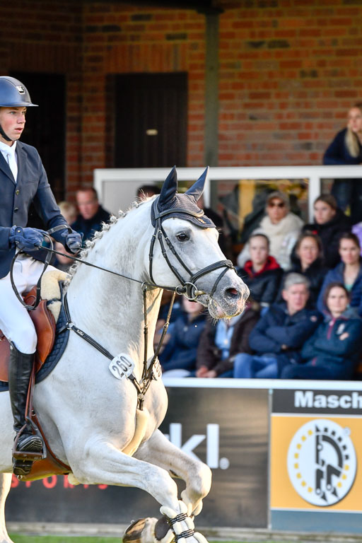  | Greve, Hendrik - Karat du Plessis 9-24_24 