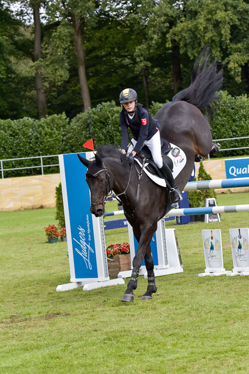  | Gripshöver, Lutz jun - Castellino 9-24_11 