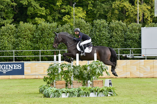  | Gripshöver, Lutz jun - Castellino 9-24_16 