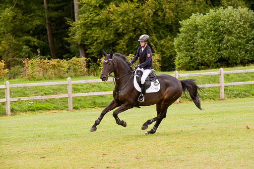  | Gripshöver, Lutz jun - Castellino 9-24_21 