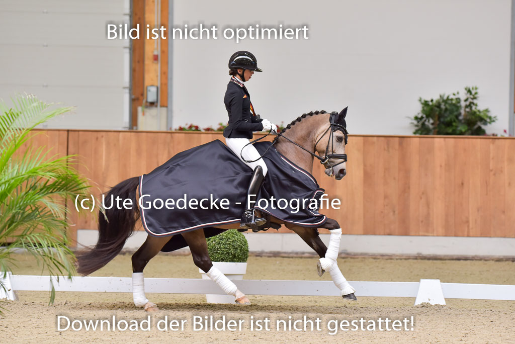  | Siegerehrungenv9-24 _181 