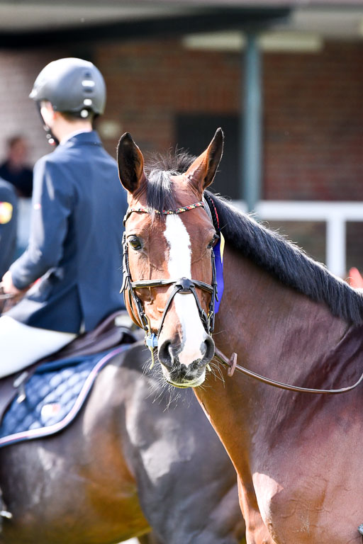  | Siegerehrungenv9-24 