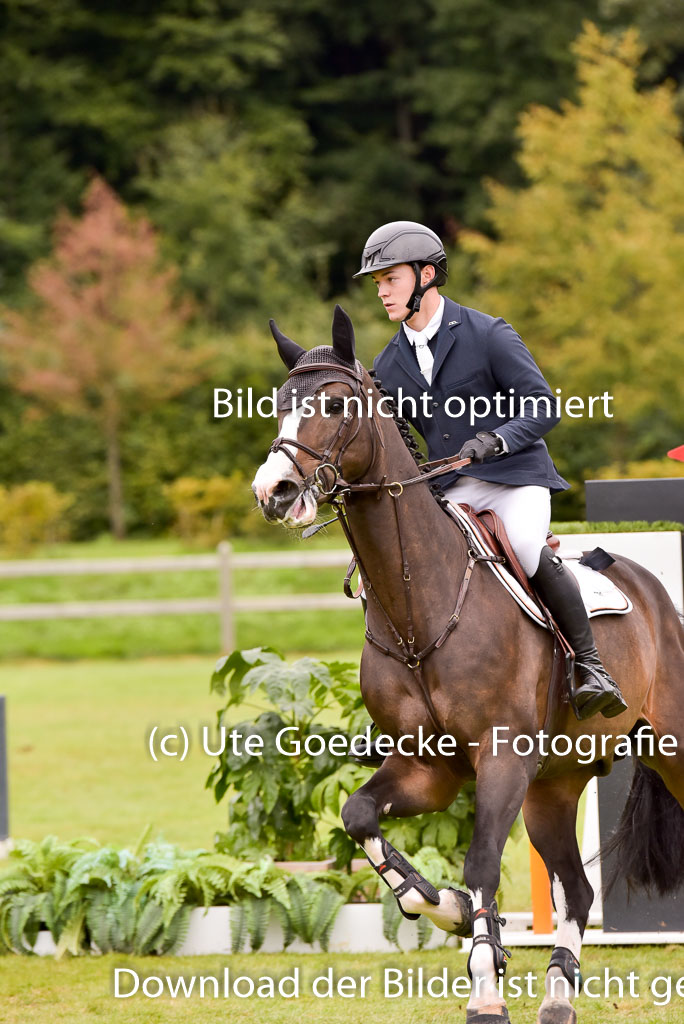  | Nölting, Lasse - Chattanooga 9-24_12 