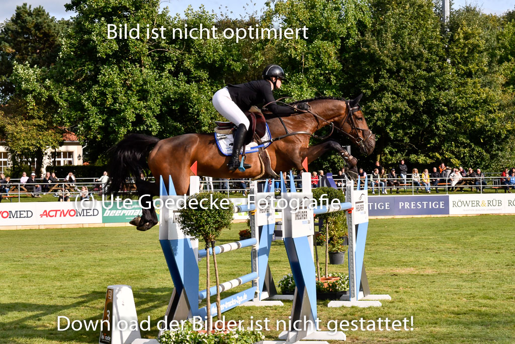  | Pahl, Paula - Steckenpferds Perfekt Game 9-24_01 