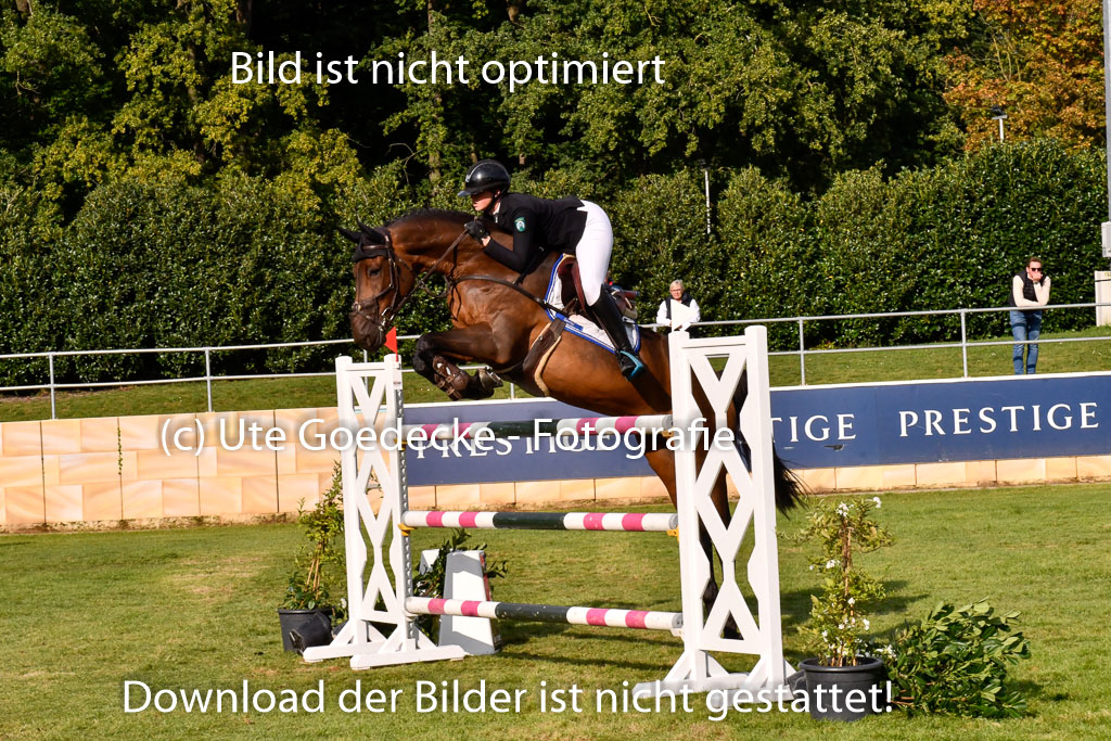  | Pahl, Paula - Steckenpferds Perfekt Game 9-24_02 