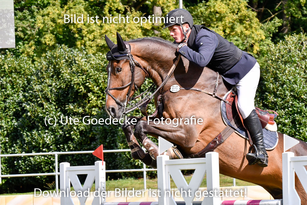  | Roth, Mikka - Rossmount Flamenco 9-24_03 