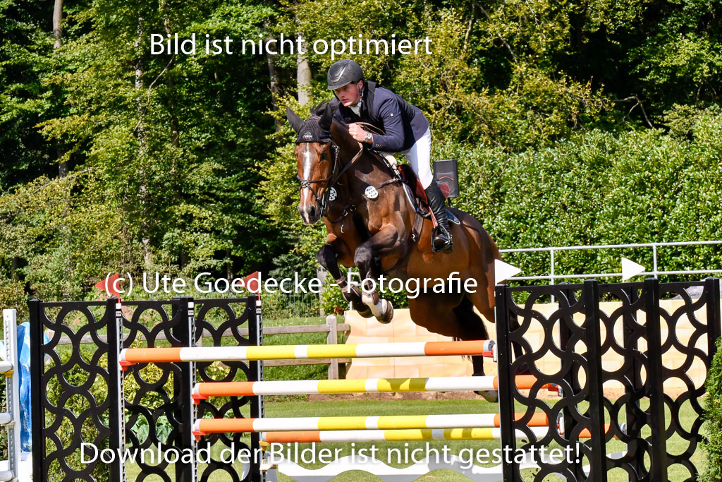  | Roth, Mikka - Rossmount Flamenco 9-24_05 