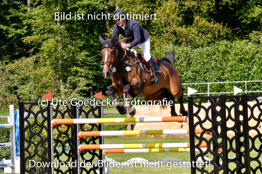  | Roth, Mikka - Rossmount Flamenco 9-24_06 