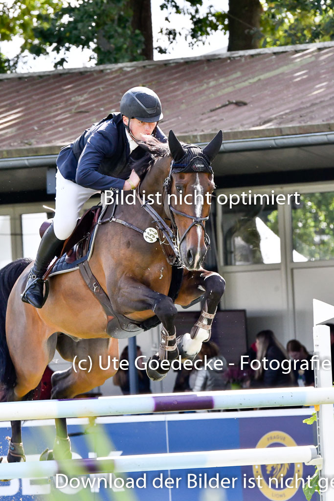  | Roth, Mikka - Rossmount Flamenco 9-24_08 
