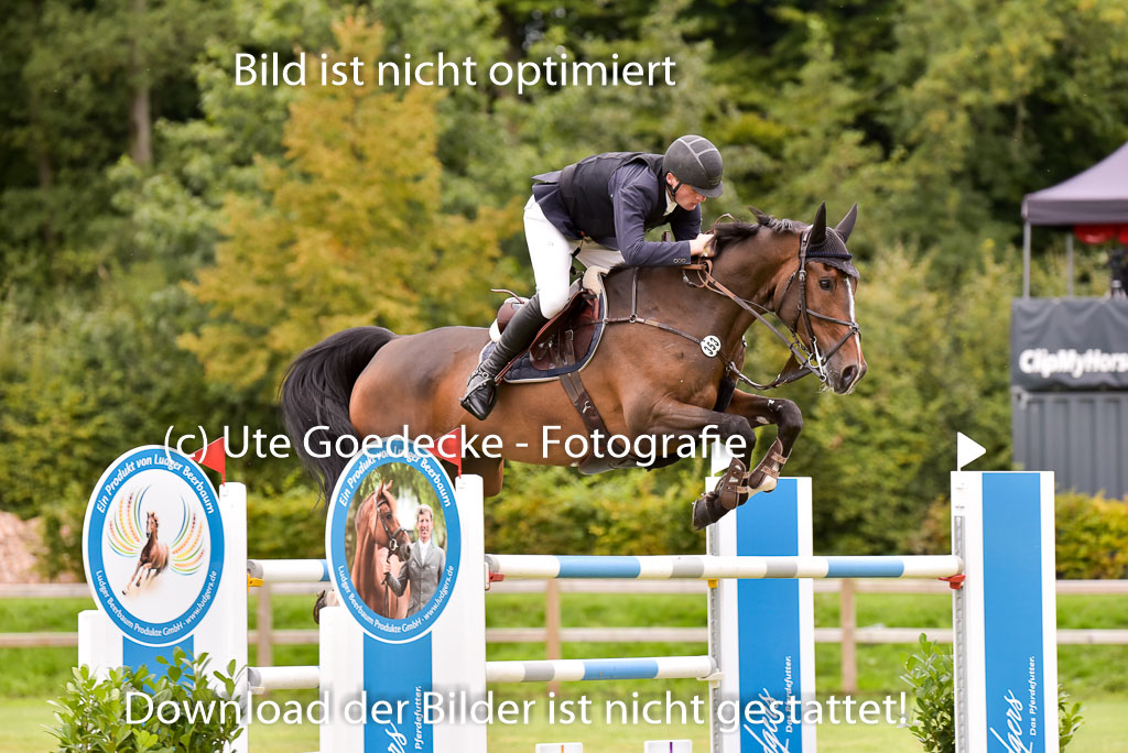  | Roth, Mikka - Rossmount Flamenco 9-24_16 