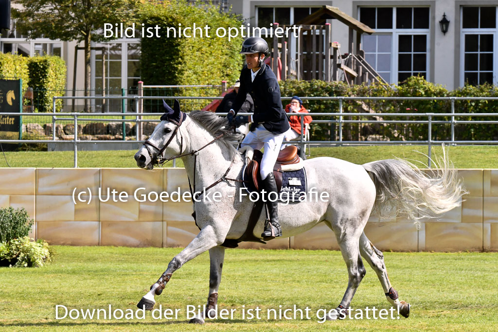  | Schmidt, Magnus - Miss Balou_07 