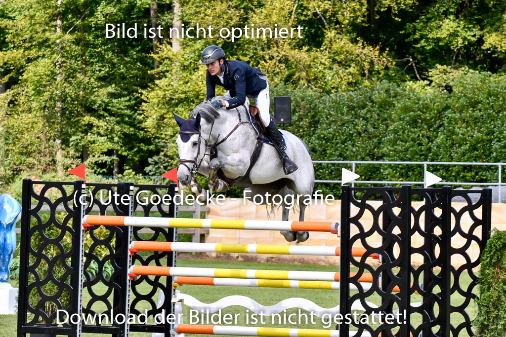  | Schmidt, Magnus - Miss Balou_11 