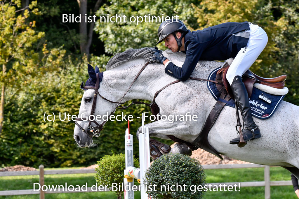  | Schmidt, Magnus - Miss Balou_16 