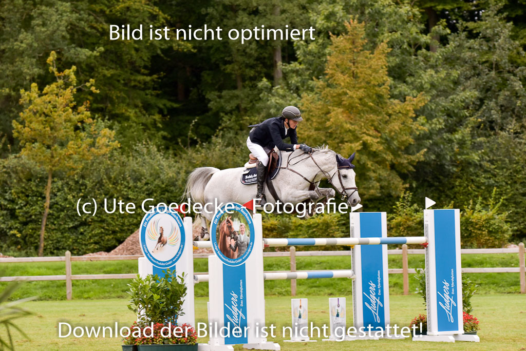  | Schmidt, Magnus - Miss Balou_34 
