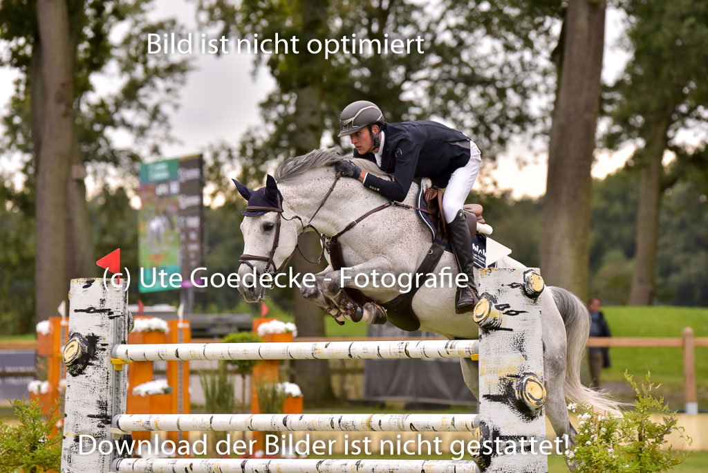 | Schmidt, Magnus - Miss Balou_37 
