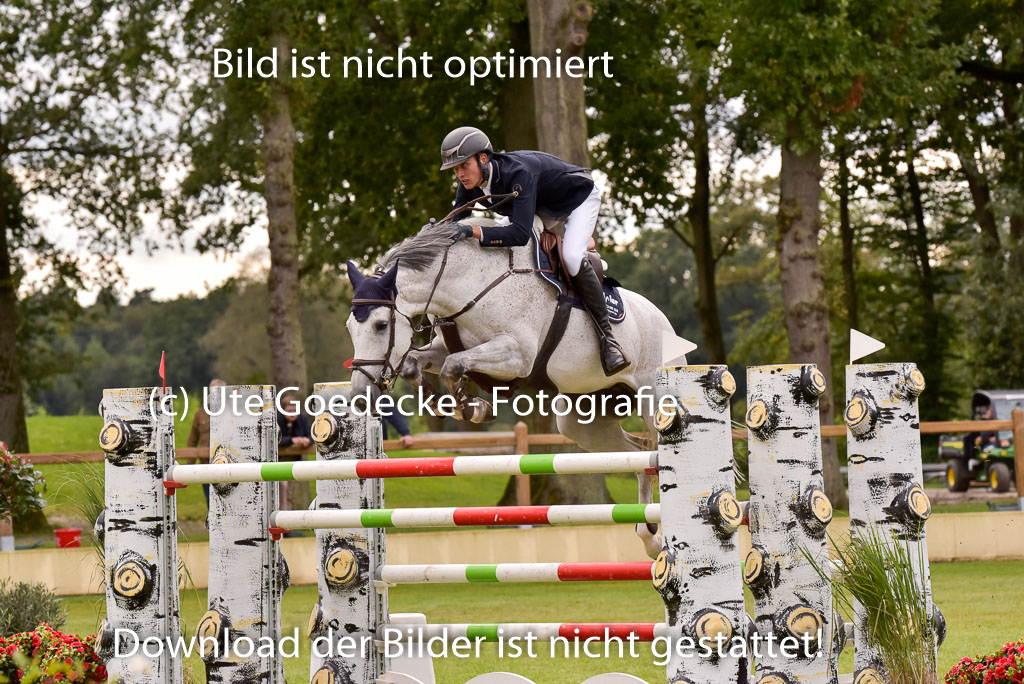  | Schmidt, Magnus - Miss Balou_40 