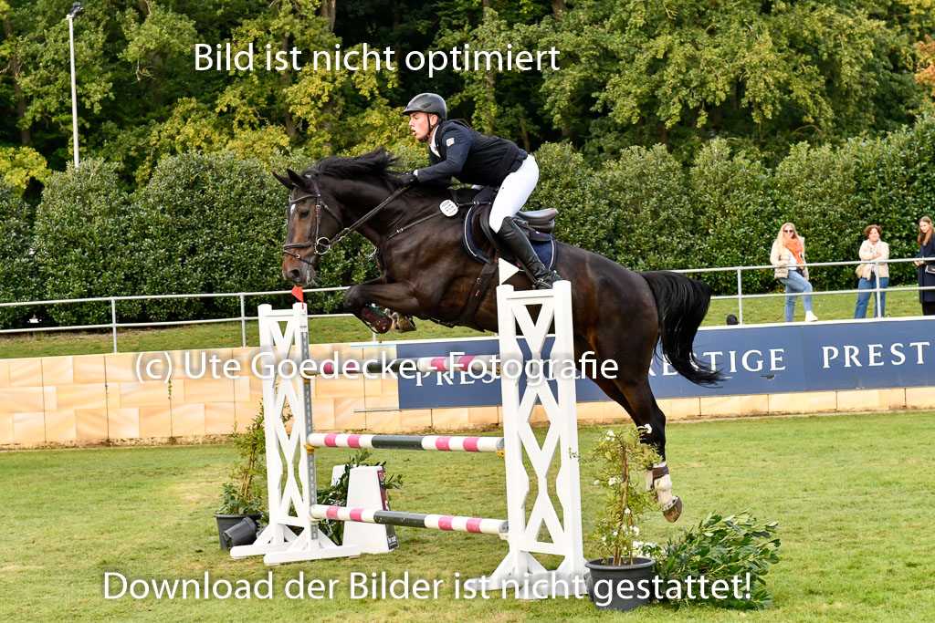  | Siever, Joost - Condor_09 