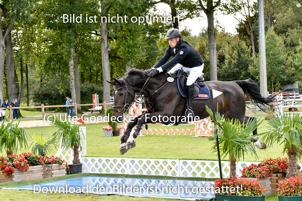  | Siever, Joost - Condor_14 