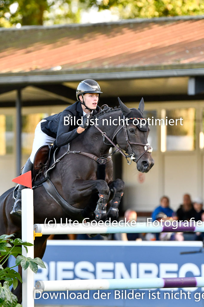  | Thielen, Fabio - Stakaya_36 