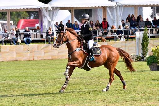  | Neumann, Janne - Petit Dechantee 9-24_15 