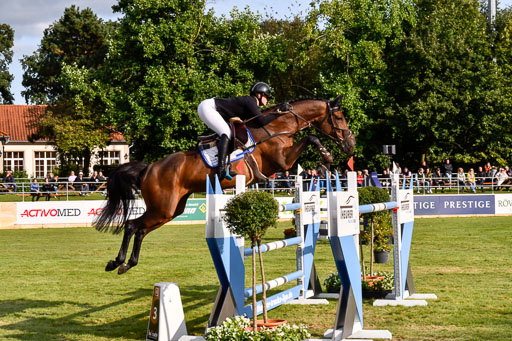  | Pahl, Paula - Steckenpferds Perfekt Game 9-24-2 