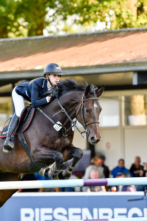  | Plock, Annabel - Hello Again 9-24_11 