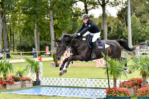  | Siever, Joost - Condor_14 